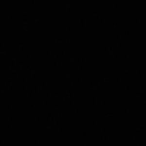 Meet your Posher, Lesly